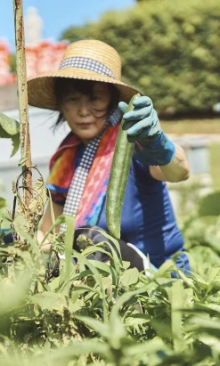Japanese Cucumber Seeds>Niwaki Best