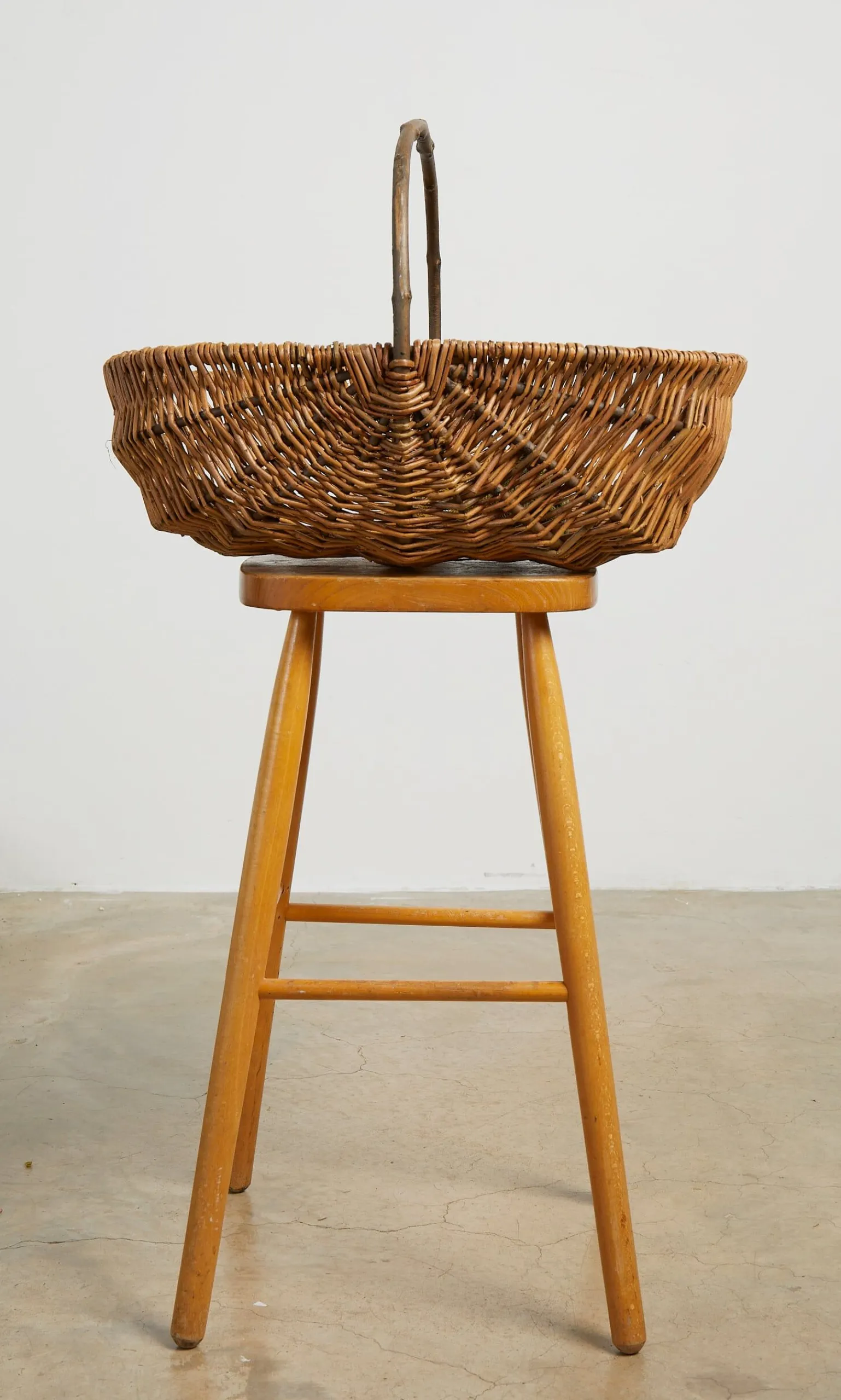 Large Willow Basket>Plümo New
