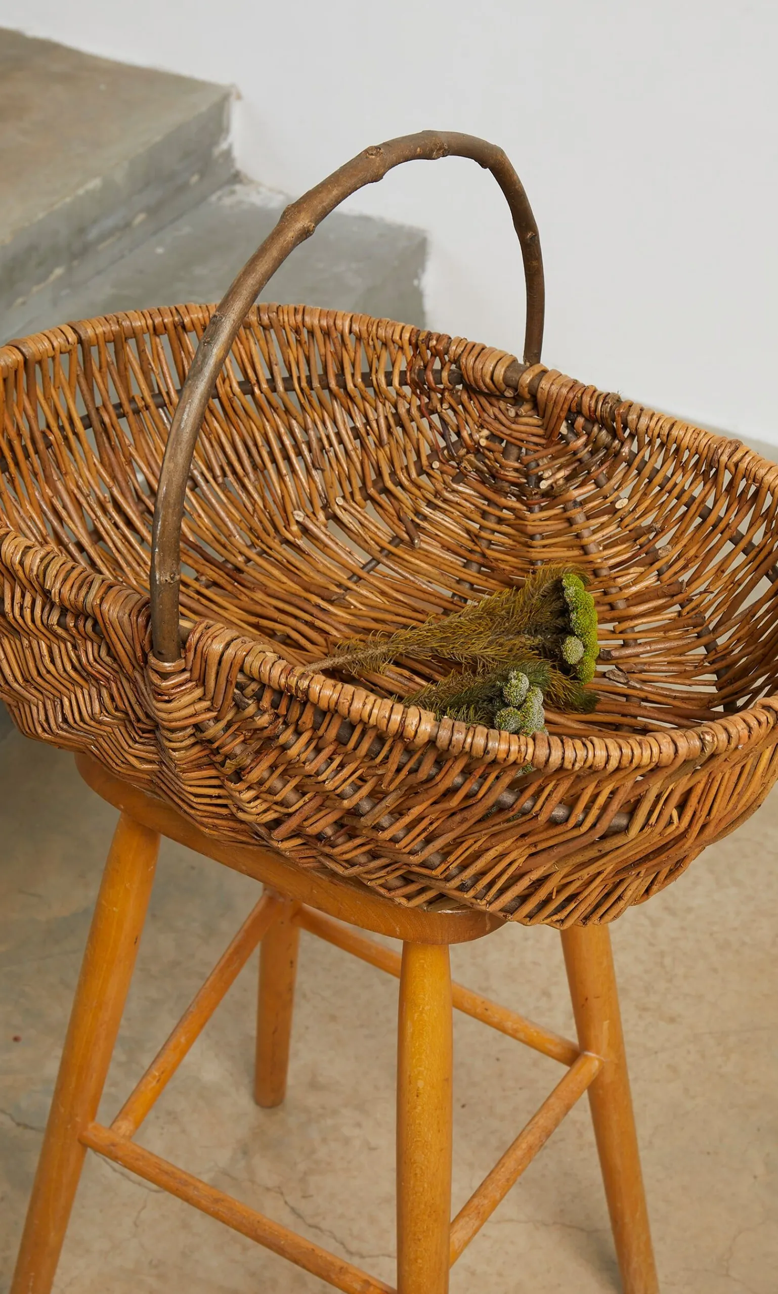 Large Willow Basket>Plümo New