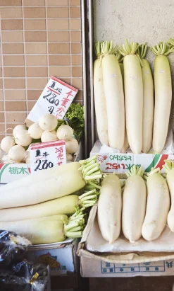 Moni Radish Seeds>Niwaki Sale