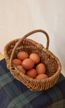 Mushroom Basket><noscript><img width=