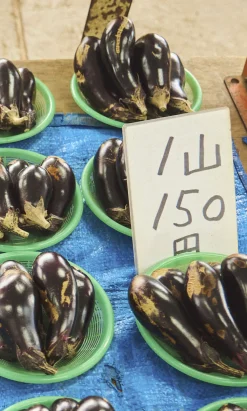 Nasu Aubergine Seeds>Niwaki Clearance