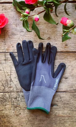 Gardening Gloves>Niwaki Discount