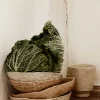 Noshi Bowls>Plümo Clearance