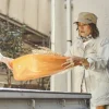 Orange Enormous Leaf Pan>Niwaki Hot