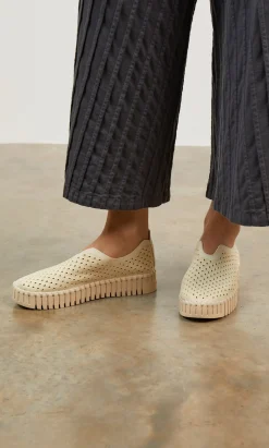 Polly Shoes><noscript><img width=