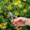 Red Garden Snips>Niwaki Sale