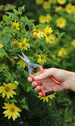 Red Garden Snips>Niwaki Sale
