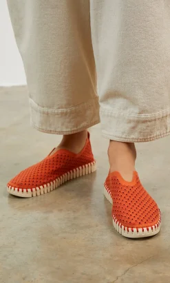 Tulip Shoes>Plümo
