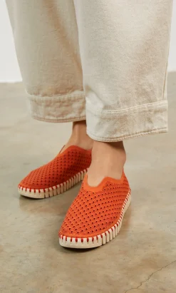 Tulip Shoes>Plümo
