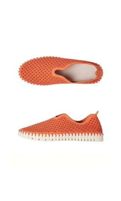 Tulip Shoes><noscript><img width=