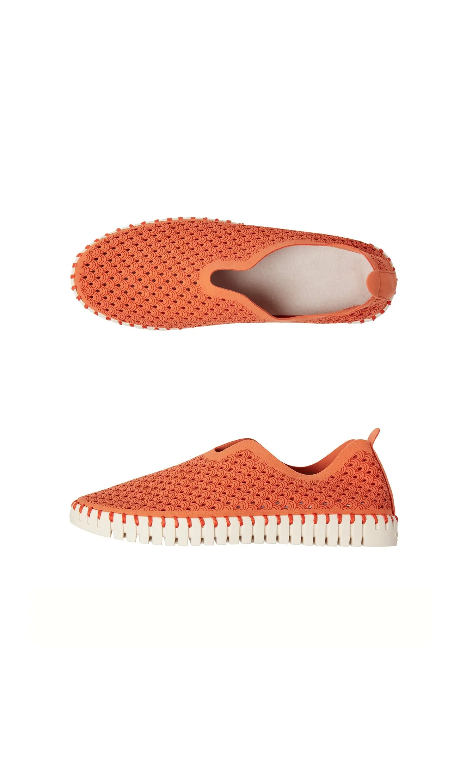 Tulip Shoes>Plümo